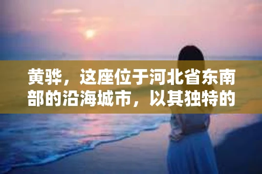 黄骅，这座位于河北省东南部的沿海城市，以其独特的地理位置和丰富的历史文化而闻名。然而，在这座城市中，还有一群人，他们以另一种方式默默守护着社会的公平与正义——私家侦探。今天，我们就来聊聊黄骅的私家侦探，看看他们是如何在这个城市中发挥作用的。