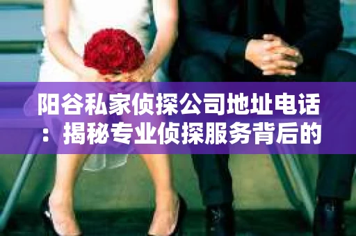 阳谷私家侦探公司地址电话：揭秘专业侦探服务背后的故事
