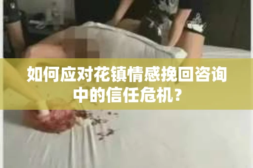 如何应对花镇情感挽回咨询中的信任危机？