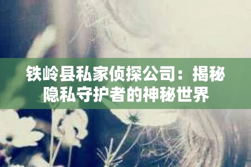 铁岭县私家侦探公司：揭秘隐私守护者的神秘世界