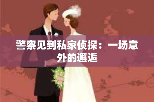 警察见到私家侦探：一场意外的邂逅