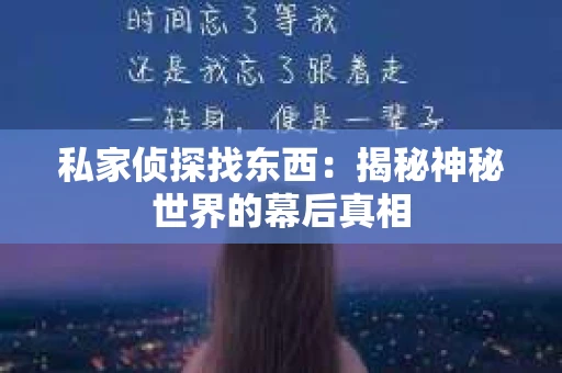 私家侦探找东西：揭秘神秘世界的幕后真相