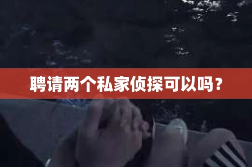 聘请两个私家侦探可以吗? 聘请两个私家侦探可以吗?