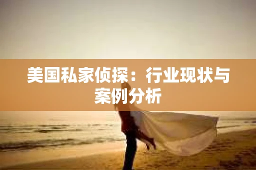 美国私家侦探：行业现状与案例分析