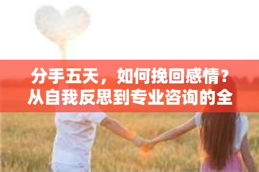 分手五天，如何挽回感情？从自我反思到专业咨询的全面解决方案