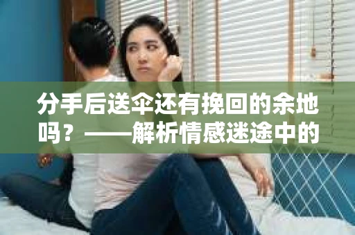 分手后送伞还有挽回的余地吗？——解析情感迷途中的决策