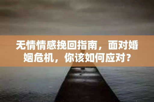 无情情感挽回指南，面对婚姻危机，你该如何应对？