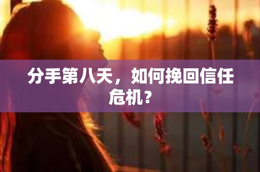 分手第八天，如何挽回信任危机？