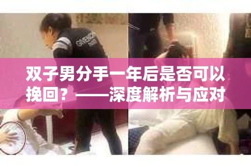 双子男分手一年后是否可以挽回？——深度解析与应对策略